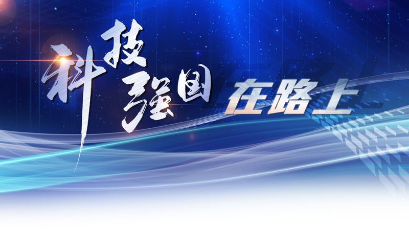 科技服务供应商招标：关键要素与评估标准**